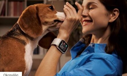 Iparági csemegék a Huawei hazai kínálatában