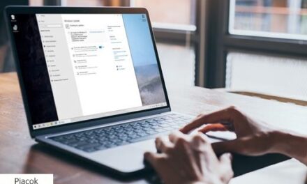 Ősztől időszerű lesz a céges Windows 11 átállás – mit érdemes tenni?