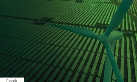 Idén hét céget díjazott fenntarthatósági gyakorlatáért a Schneider Electric