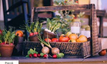 Biogazdálkodási forradalom küszöbén: sikerülhet-e Európának a merész 25%-os cél elérése 2030-ra?