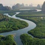 Fellendülőben a karbonkreditek kereskedelme