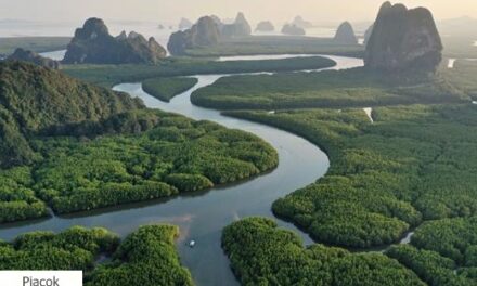 Fellendülőben a karbonkreditek kereskedelme