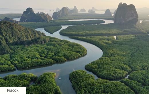 Fellendülőben a karbonkreditek kereskedelme