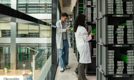 Már nem az ár diktál a felújított mobil eszközök piacán