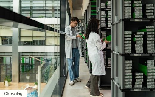 Már nem az ár diktál a felújított mobil eszközök piacán