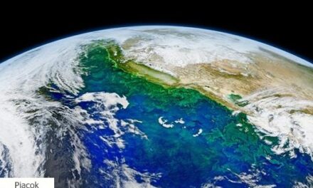 Mérlegen a fenntarthatóság: öt év után mit mutat egy globális energia-technológiai program?