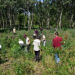 Biodiverzitástól a Bioblitzig: különleges természetvédelmi projekt fut Dunavecsén