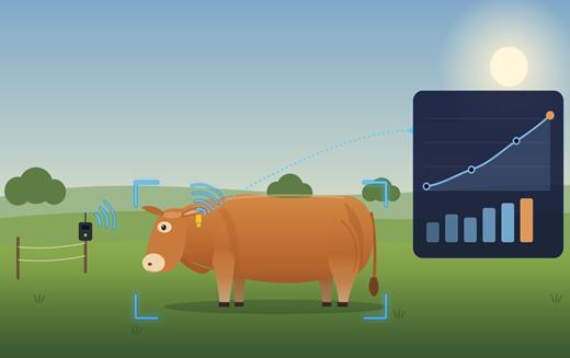 AI-jal fejlesztett saját szoftvert az informatikusból lett marhatenyésztő